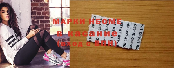 стафф Алексин
